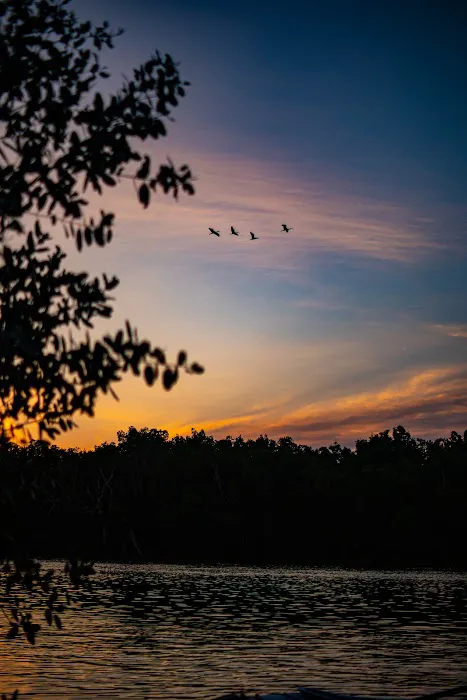 Lopez River Campsite Picture 7