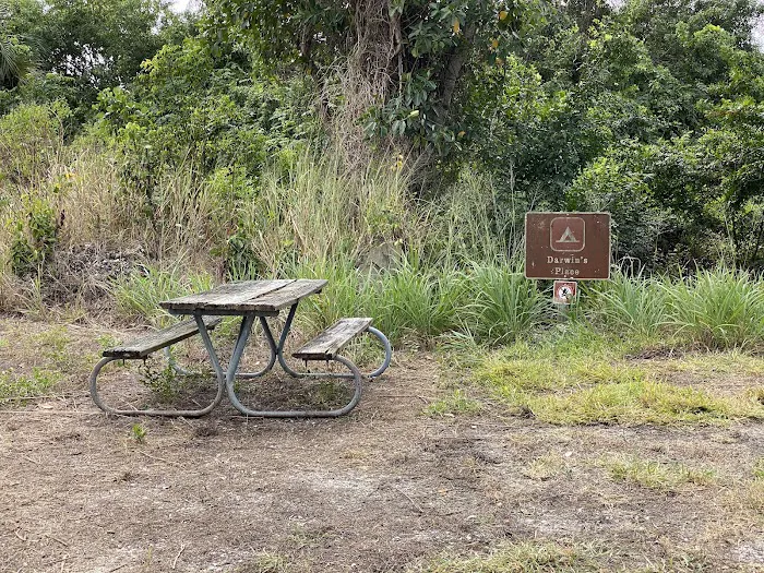 Darwin’s Place Picture 2