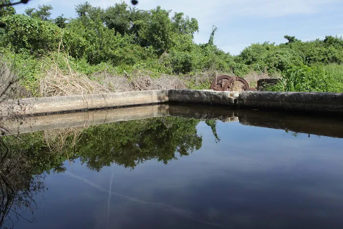 Watson’s Place Picture 3