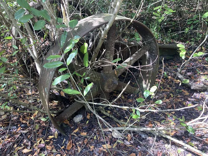 Watson’s Place Picture 8