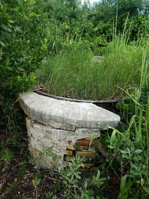 Watson’s Place Picture 10