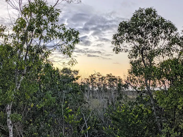 Mitchell Landing Big Cypress National Preserve Picture 5