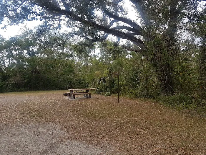 Mitchell Landing Big Cypress National Preserve Picture 4