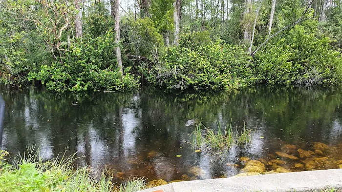 Mitchell Landing Big Cypress National Preserve Picture 1