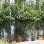 Mitchell Landing Big Cypress National Preserve