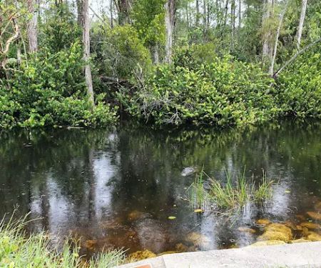 Mitchell Landing Big Cypress National Preserve