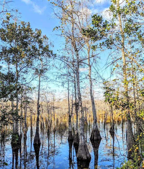 Mitchell Landing Big Cypress National Preserve Picture 3