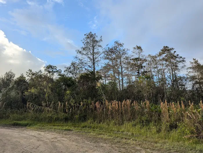 Mitchell Landing Campground Picture 8