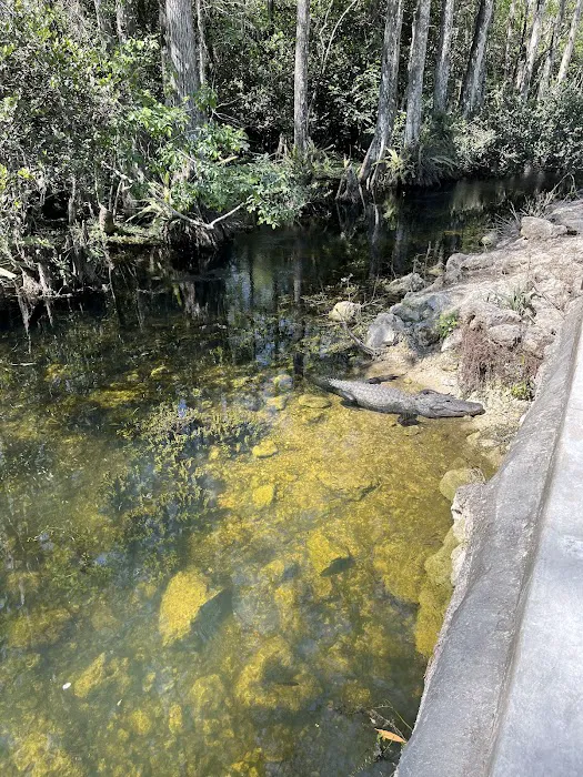 Mitchell Landing Campground Picture 9