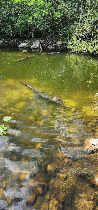 Pinecrest Group Campground, Big Cypress National Preserve Picture 3