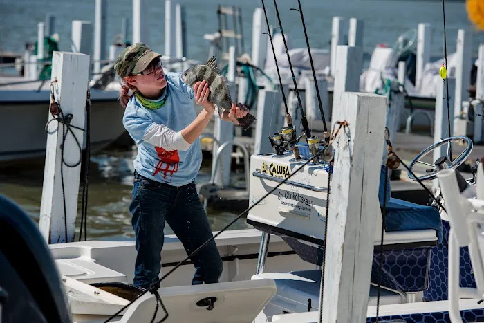 Chokoloskee RV Park Picture 7