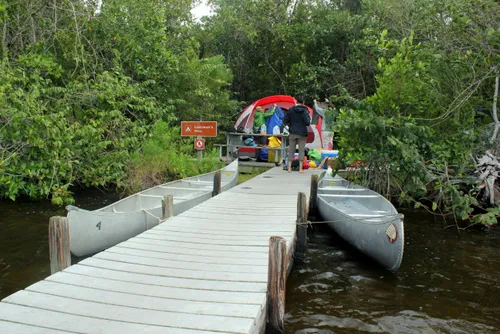 Lostman's Five Campsite Picture 3