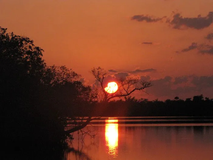 Lostman's Five Campsite Picture 4