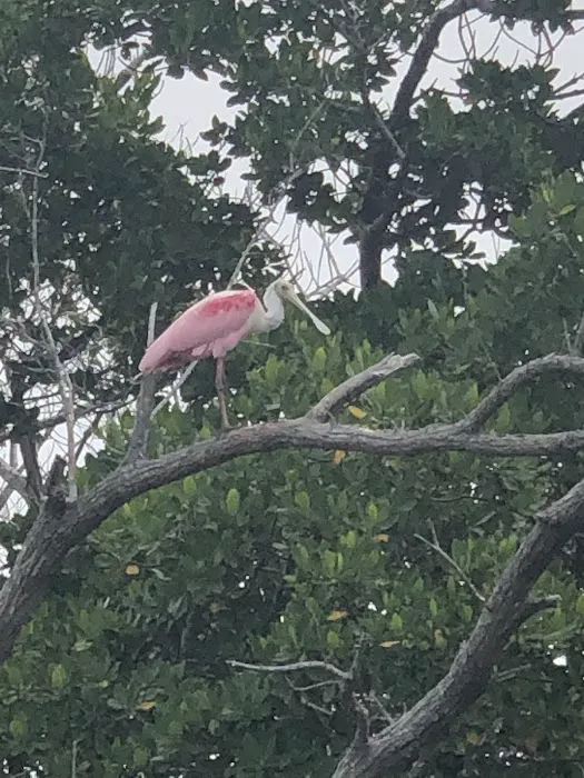Rabbit Key Campsite Picture 5