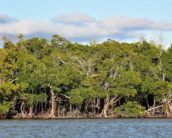 Jewel Key Campground Picture 4