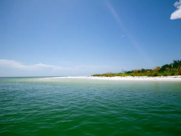 Pavilion Key Campsite Picture 5