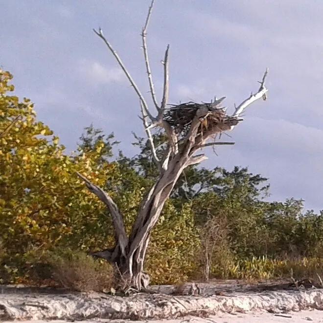 Pavilion Key Campsite Picture 7