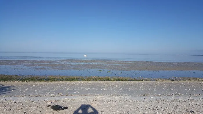 Pavilion Key Campsite Picture 6