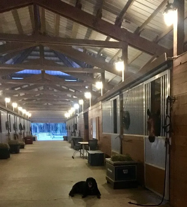 Triple V Ranch Equestrian Campground Picture 6