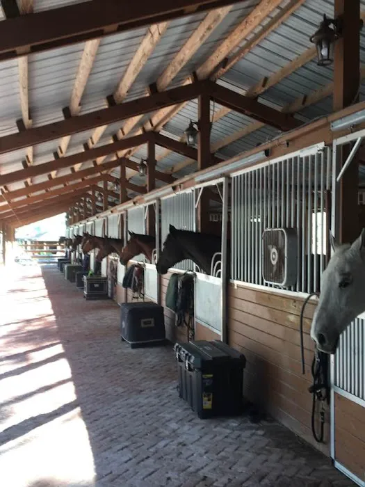 Triple V Ranch Equestrian Campground Picture 9