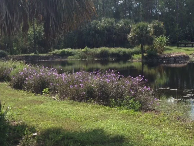 Triple V Ranch Equestrian Campground Picture 3