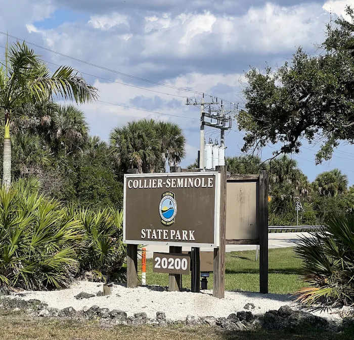 Timberline Glamping Naples Picture 6