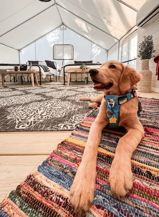 Timberline Glamping Naples Picture 3