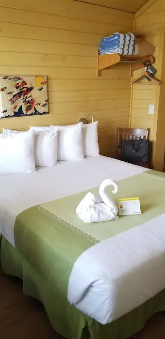 Naples / Marco Island KOA Holiday Picture 2