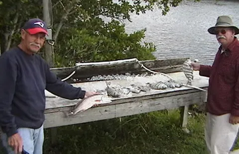 Naples / Marco Island KOA Holiday Picture 6