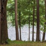 Dry Creek Reservoir and Campground