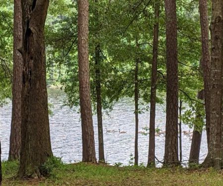 Dry Creek Reservoir and Campground
