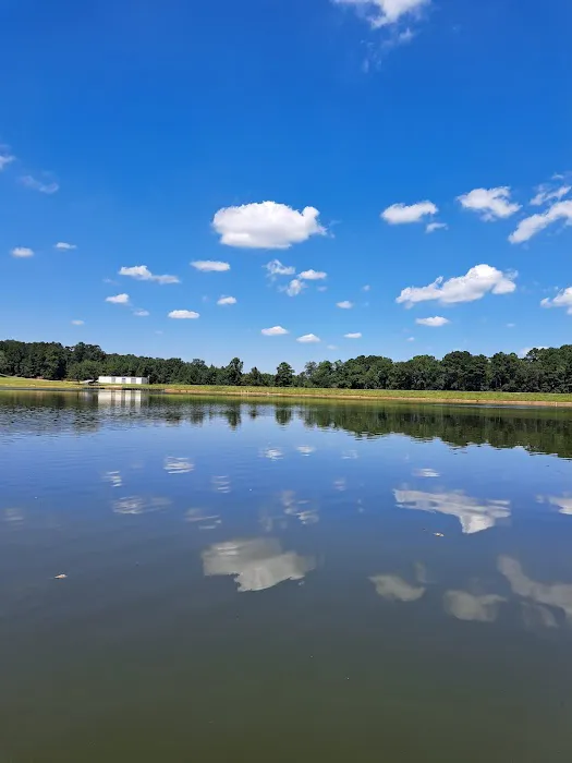 Prentiss Walker Lake Picture 4