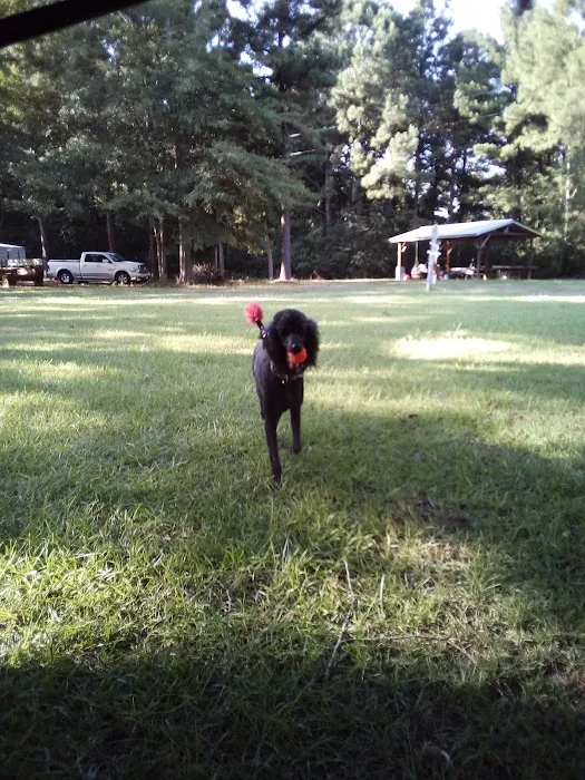 Center Ridge Outpost Picture 10