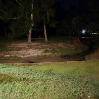 Camp Silver Creek ico