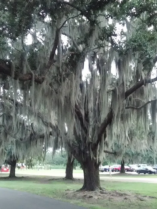 Fontainebleau Cabins Picture 9