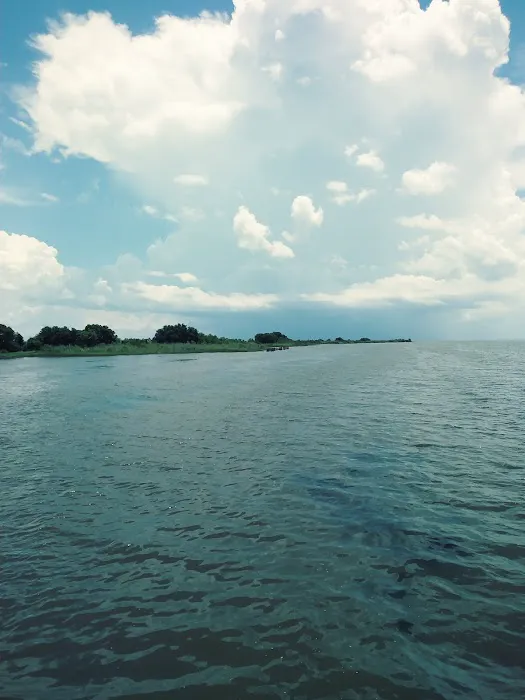 Fontainebleau Cabins Picture 8