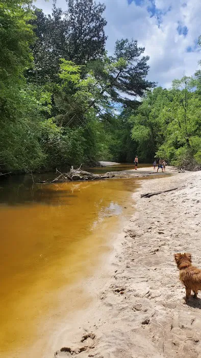 Land-O-Pines Family Campground Inc. Picture 1