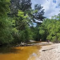 Land-O-Pines Family Campground Inc. ico