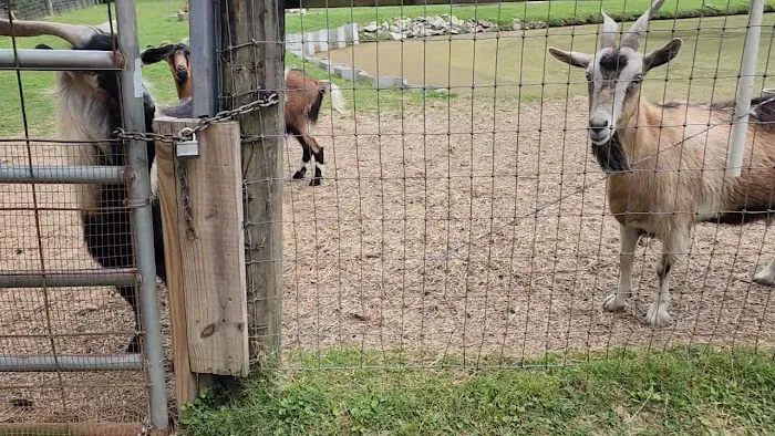 Land-O-Pines Family Campground Inc. Picture 6