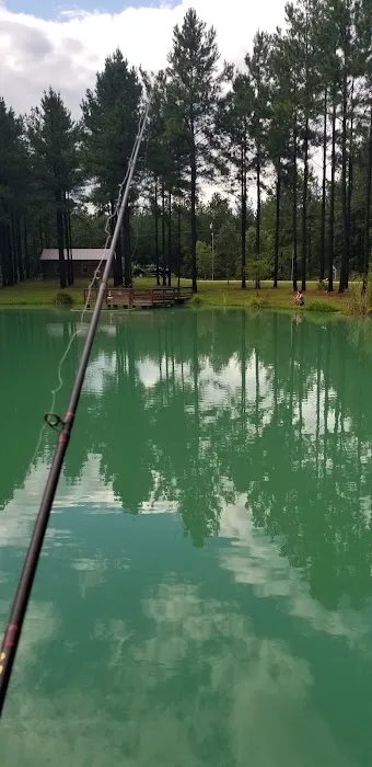 Bogue Chitto Swamp Cabins Picture 2