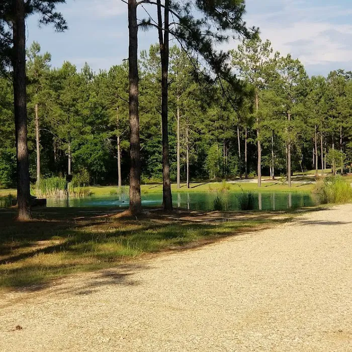 Bogue Chitto Swamp Cabins Picture 6