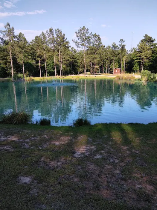 Bogue Chitto Swamp Cabins Picture 5