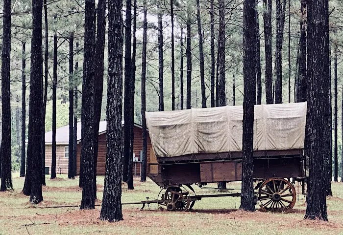 Bogue Chitto Swamp Cabins Picture 9