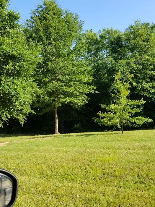 Bogue Chitto Swamp Cabins Picture 8