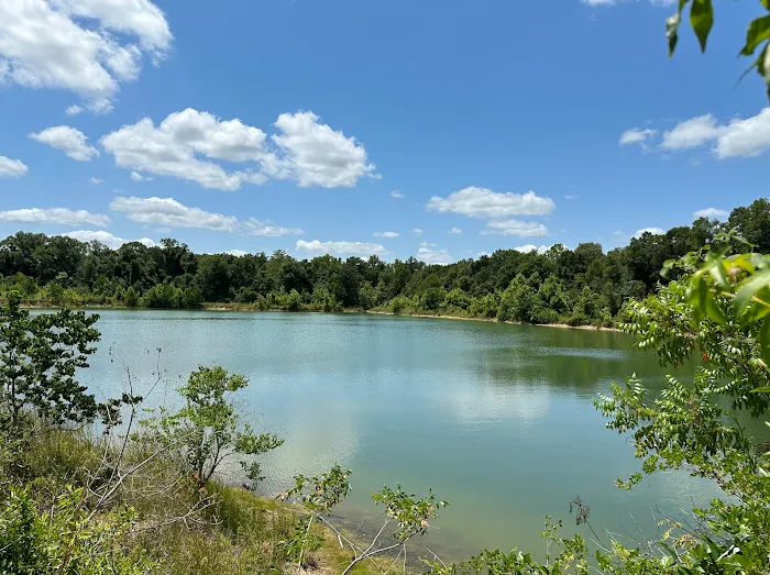 The Banks, on the Beautiful Bogue Chitto Picture 2