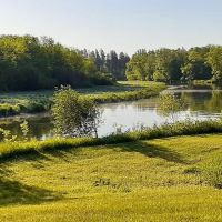 Huntersville Forest Campground ico