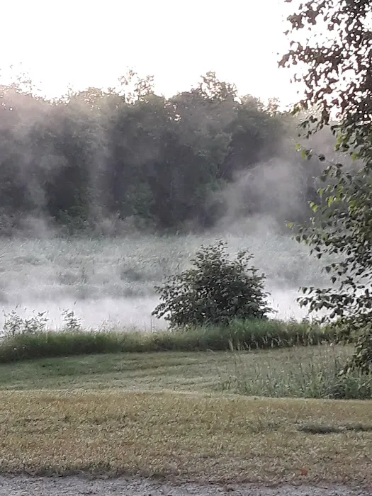 Huntersville Forest Campground Picture 4