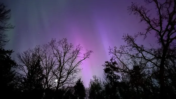 Tree Farm Campground Picture 6