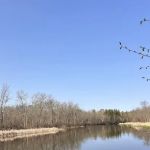 Tree Farm Campground