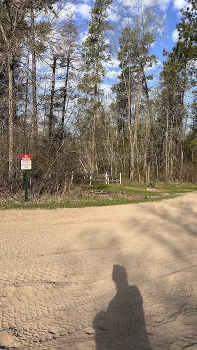 Tree Farm Campground Picture 4